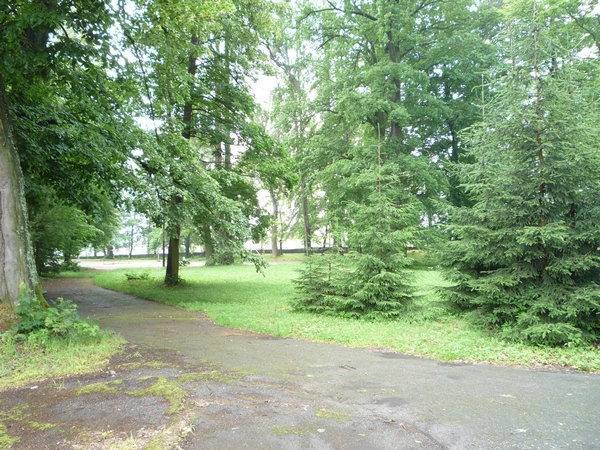 Park (2)