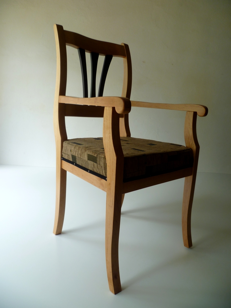 Čalouněná židle s područkami (18)
