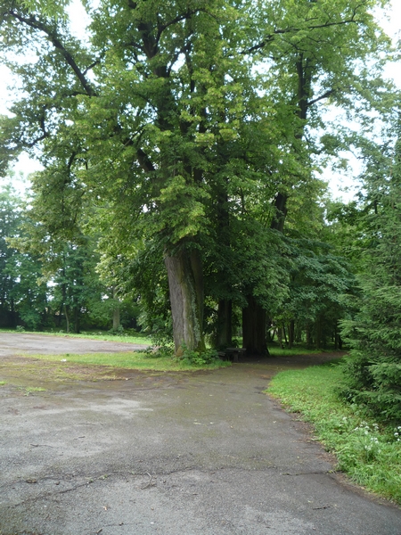 Park (1)