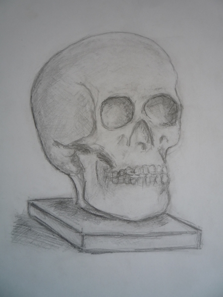 Kresby studentů (38)